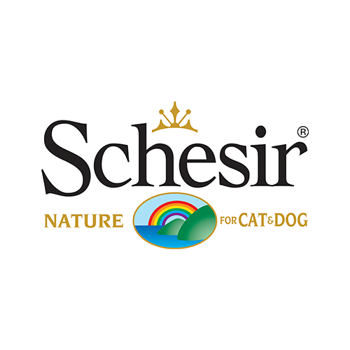 Schesir