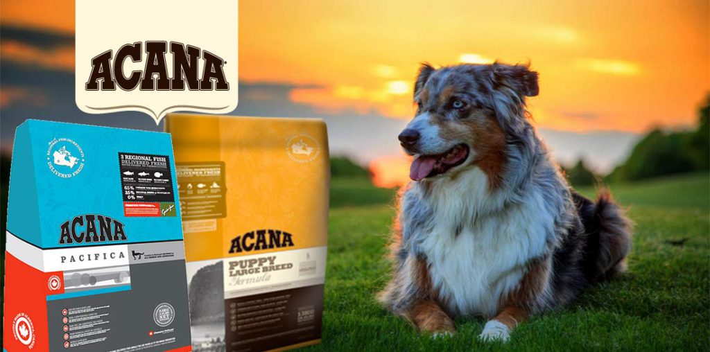CROCCHETTE ACANA E ORIJEN: da noi l'eccellenza del cibo per cani e gatti crocchette acana ticino