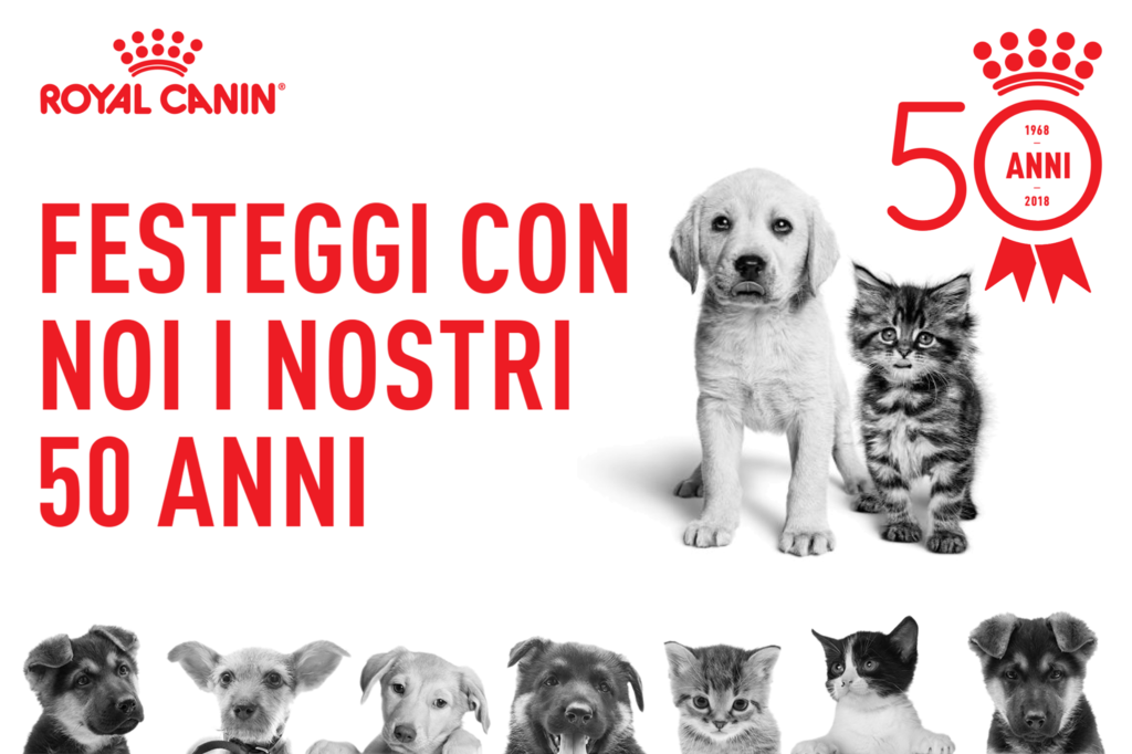 FESTEGGIA I 50 ANNI DI ROYAL CANIN 31960781 1409531659193500 6513188823436886016 O 1024x682