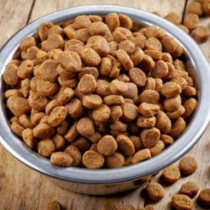 Alimento secco