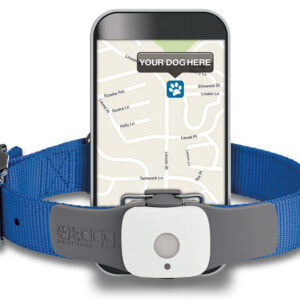 Localizzatore GPS per cani